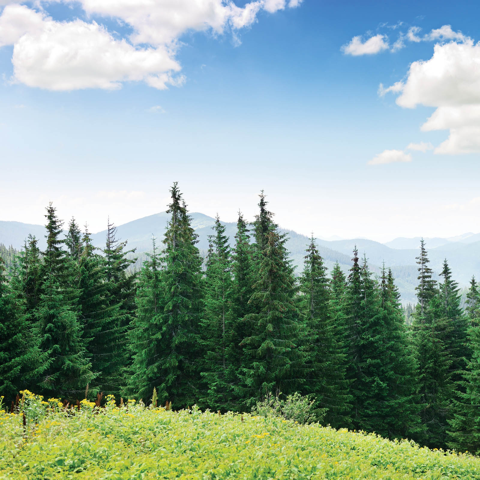 Performance BioFilaments